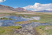Ladakh - Tso-Kar